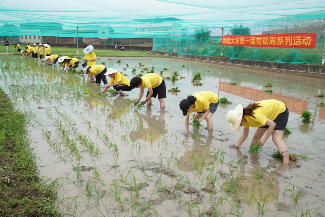 文件名稱:image6.png原圖大小:NaNGB