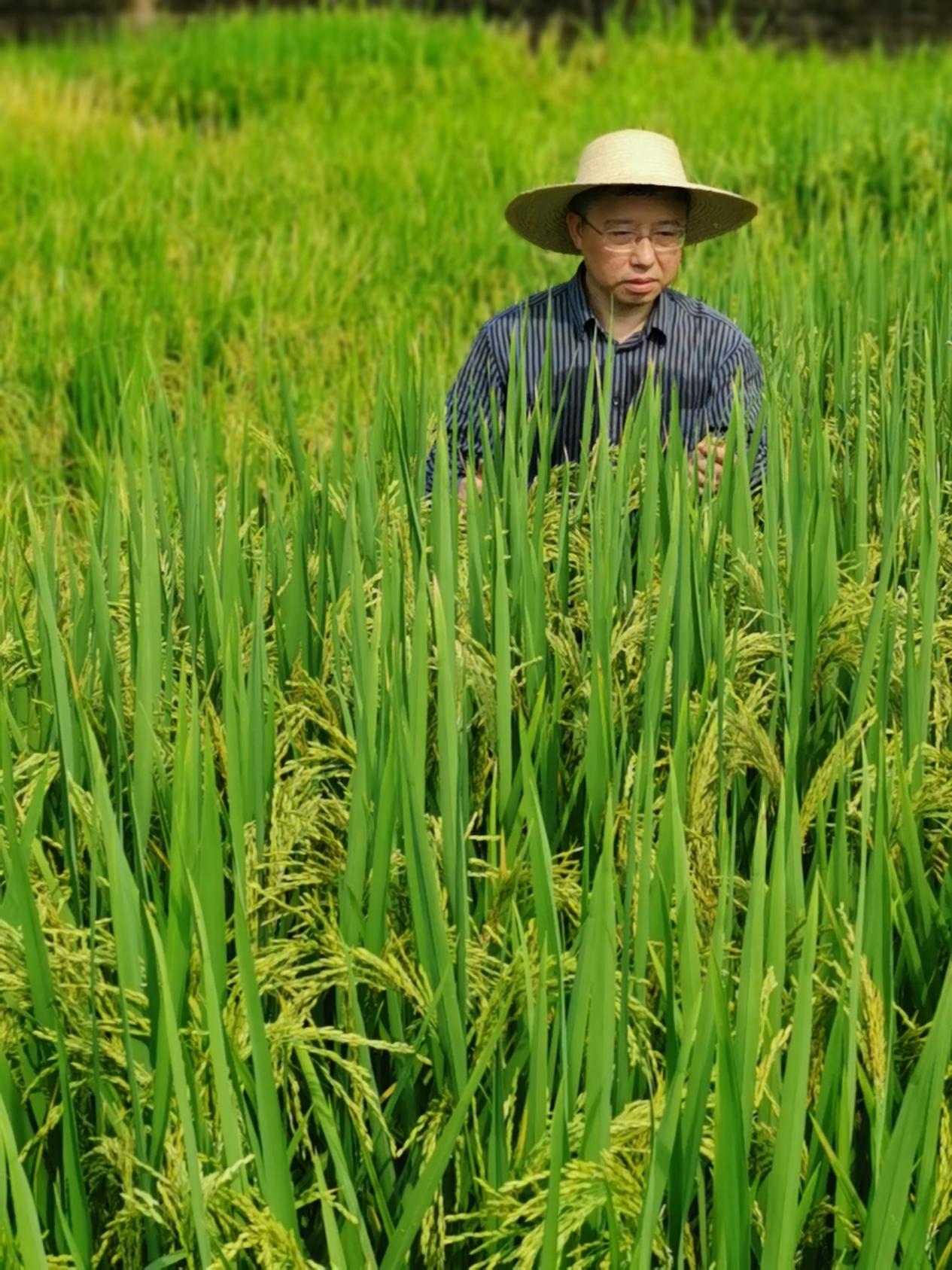 文件名稱:image4.jpeg原圖大小:NaNGB