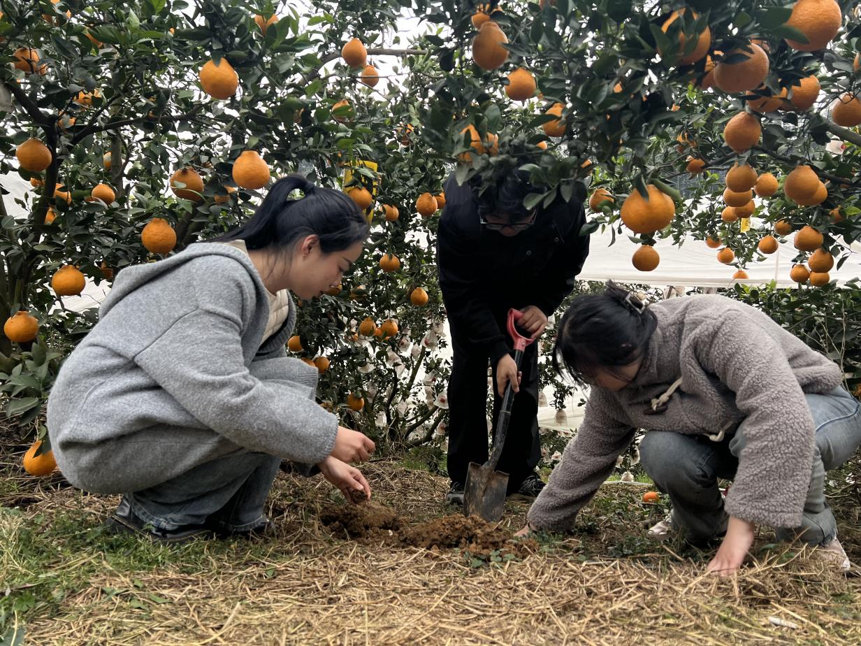 文件名稱:image11.jpeg原圖大小:NaNGB