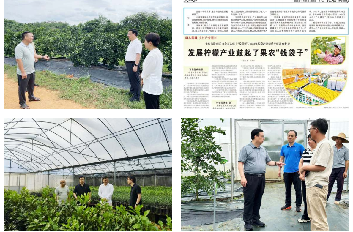 文件名稱:image8.png原圖大小:NaNGB