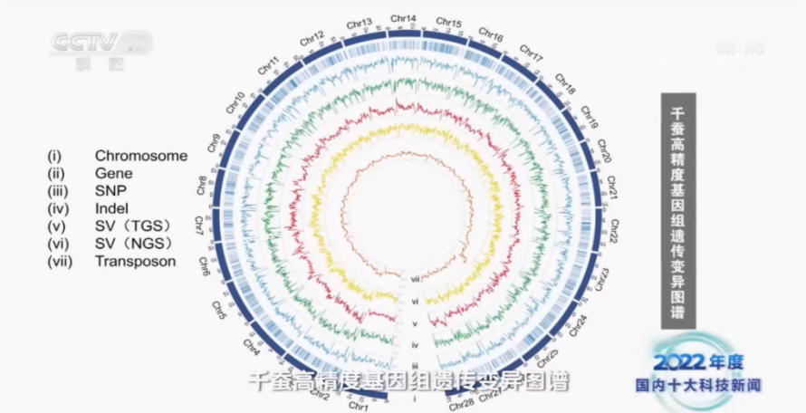 文件名稱:image4.png原圖大小:NaNGB