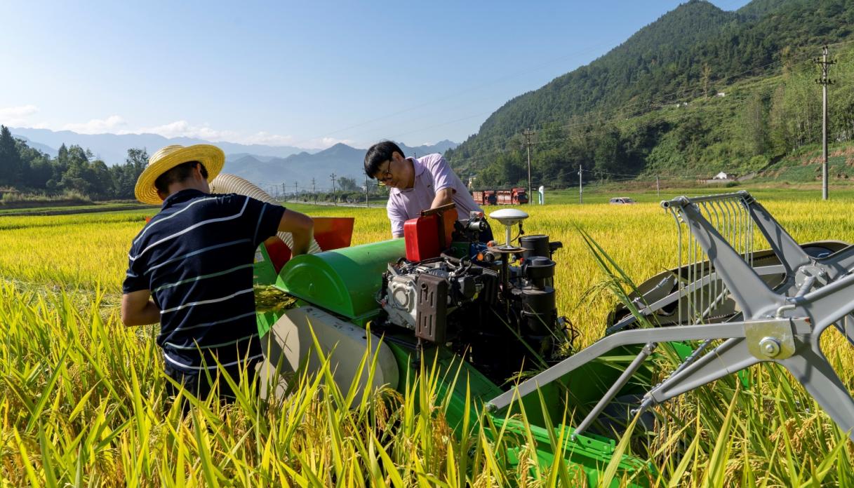 文件名稱:image6.jpeg原圖大小:NaNGB